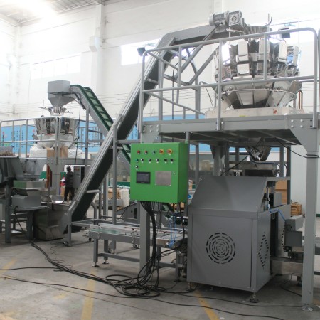 Customized Full Automatic Long Screw Packing Machine Supplier-Paralleling Cartonning System