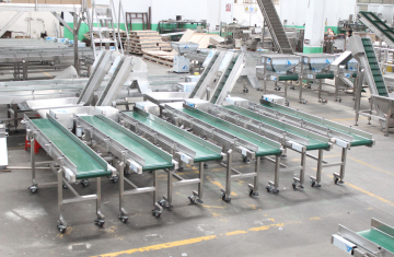 Horizontal Conveyors