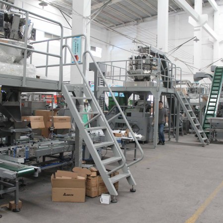 New Design Full Automatic Hardware Fittings Packing Machine Supplier-Paralleling Cartonning System