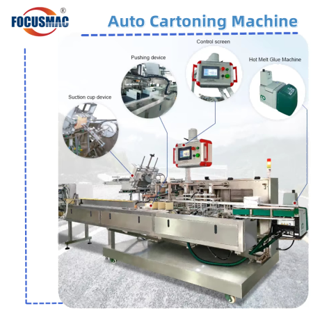 Bag in Carton Secondary Packing Machines