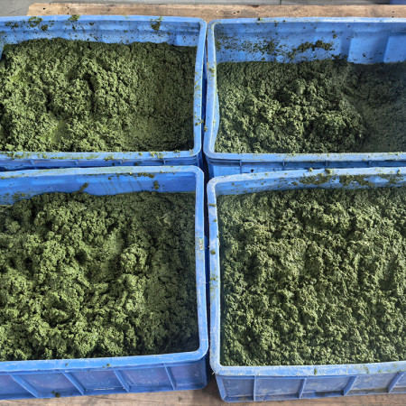 Automatic Cassava Leaves Grinding and Packing Machine