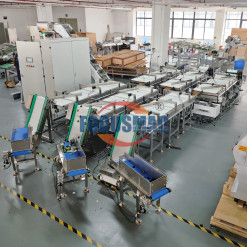 Automatic Counting Sorting Conveyor System