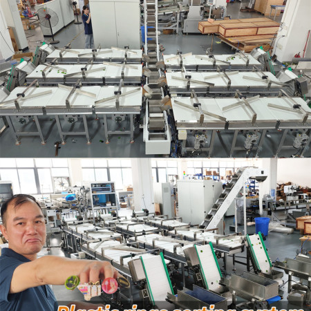 Automatic Counting Sorting Conveyor System