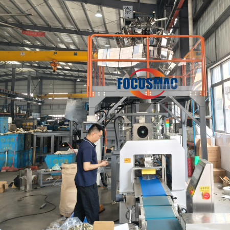  Long Screw Bag Horizontal Packing Machine