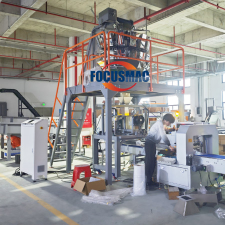  Long Screw Bag Horizontal Packing Machine