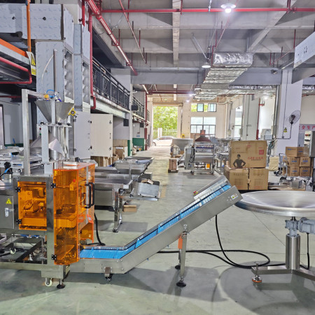 Semi-auto Packing Machine for Food