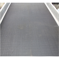 food grade belt conveyor