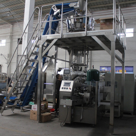 Automatic Premade Bag Rotary Packing Machine