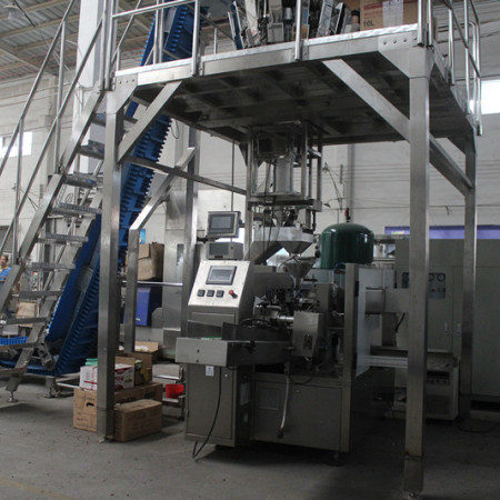 Automatic Premade Bag Rotary Packing Machine