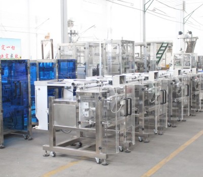 The Cost of Investing in Automatic Powder Packing Machines