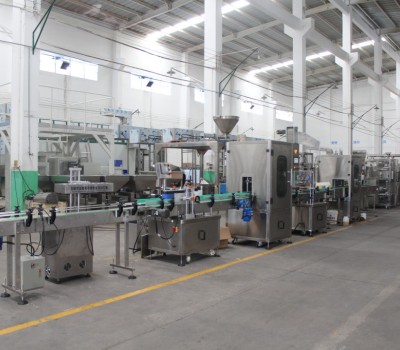 Inspection Of Automatic Packing Machine