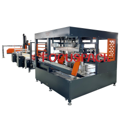 Multi-function Carton Packing System