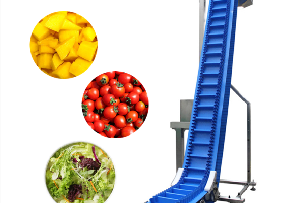 Easy Clean PU Food Belt Conveyor for Fruit and Vegetable
