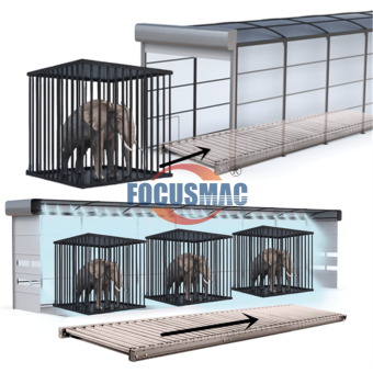Powerful Gravity Roller Conveyor for Automatic Animal Sterilizer