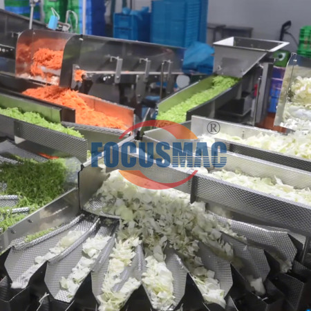 Full Automatic Vegetable Salad Packing Machine
