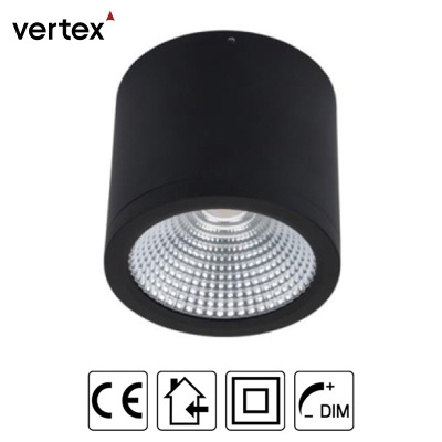 Takmonterad spotlight RDL-25